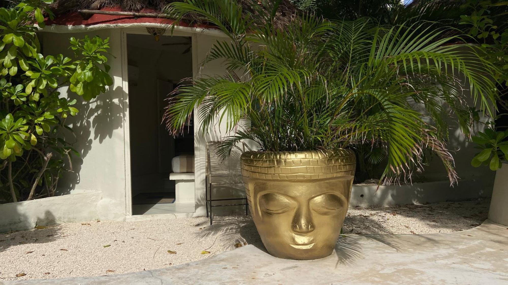 Nature Stay (Adults Only) Πλάγια Ντελ Κάρμεν Εξωτερικό φωτογραφία