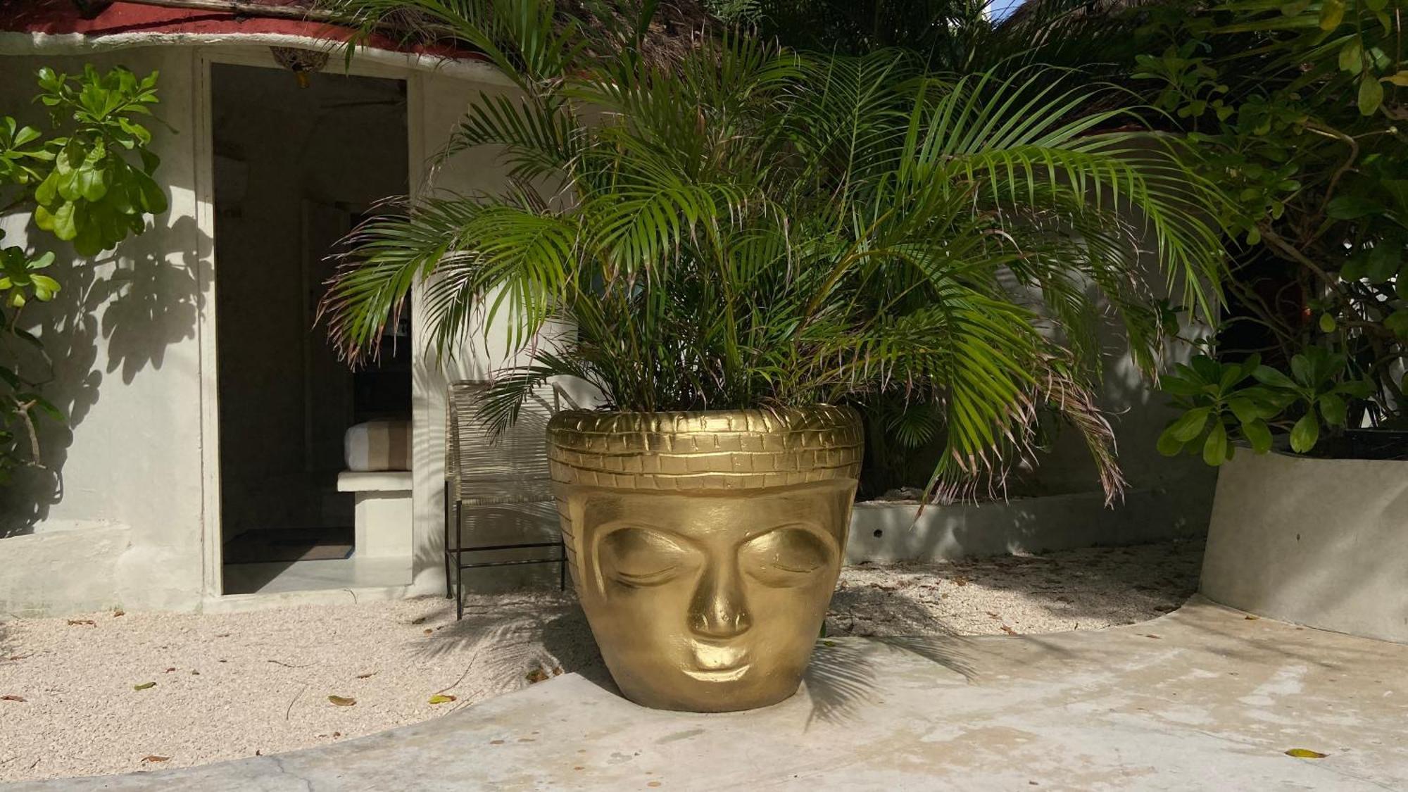 Nature Stay (Adults Only) Πλάγια Ντελ Κάρμεν Εξωτερικό φωτογραφία