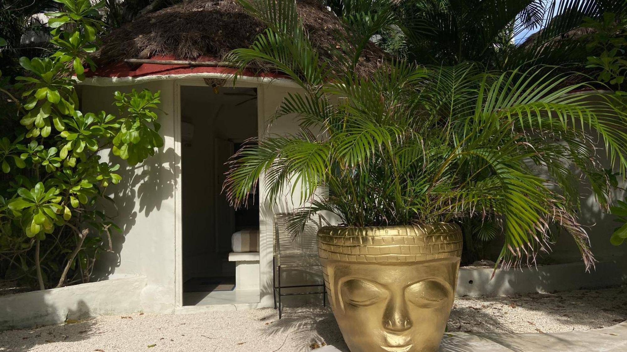 Nature Stay (Adults Only) Πλάγια Ντελ Κάρμεν Εξωτερικό φωτογραφία
