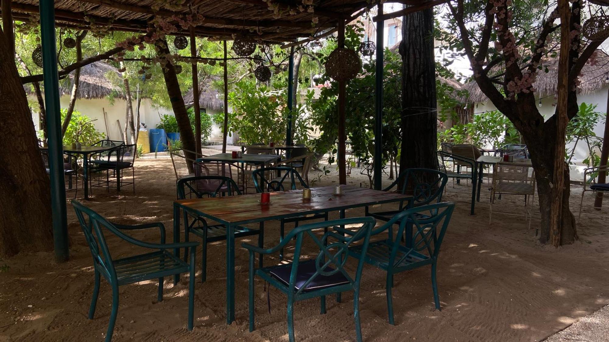 Nature Stay (Adults Only) Πλάγια Ντελ Κάρμεν Εξωτερικό φωτογραφία